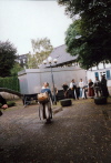 Klicken Sie auf das Bild, um es zu vergr&ouml;&szlig;ern