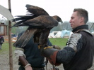 Klicken Sie auf das Bild, um es zu vergr&ouml;&szlig;ern