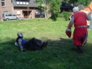 Klicken Sie auf das Bild, um es zu vergr&ouml;&szlig;ern