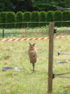 Klicken Sie auf das Bild, um es zu vergr&ouml;&szlig;ern